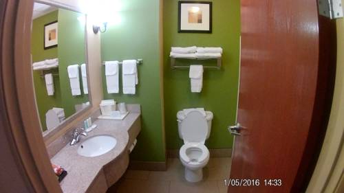 Imagen de la habitación del Hotel Comfort Inn and Suites Panama City Mall. Foto 8