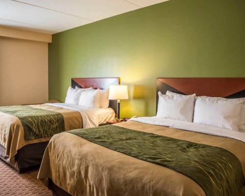 Imagen de la habitación del Hotel Comfort Inn and Suites Panama City Mall. Foto 10