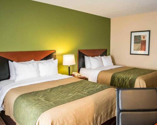 Imagen de la habitación del Hotel Comfort Inn and Suites Panama City Mall. Foto 12