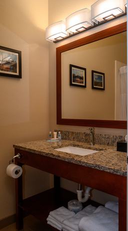 Imagen de la habitación del Hotel Comfort Inn and Suites Patriots Point. Foto 17