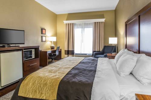 Imagen de la habitación del Hotel Comfort Inn and Suites Peachtree Corners. Foto 3