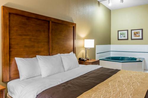 Imagen de la habitación del Hotel Comfort Inn and Suites Peachtree Corners. Foto 4