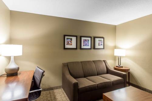 Imagen de la habitación del Hotel Comfort Inn and Suites Peachtree Corners. Foto 5