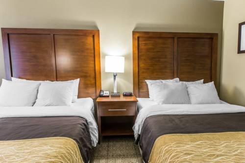 Imagen de la habitación del Hotel Comfort Inn and Suites Peachtree Corners. Foto 6