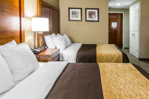 Imagen de la habitación del Hotel Comfort Inn and Suites Peachtree Corners. Foto 8