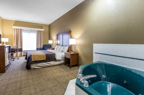 Imagen de la habitación del Hotel Comfort Inn and Suites Peachtree Corners. Foto 12