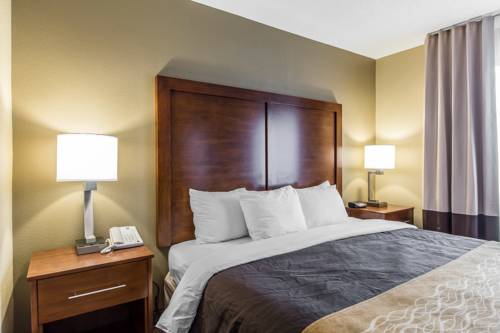 Imagen de la habitación del Hotel Comfort Inn and Suites Peachtree Corners. Foto 13