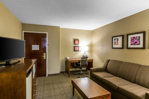 Imagen de la habitación del Hotel Comfort Inn and Suites Peachtree Corners. Foto 15
