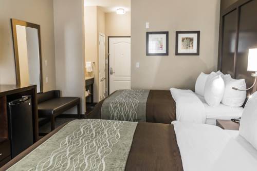 Imagen de la habitación del Hotel Comfort Inn and Suites, Pharr . Foto 2