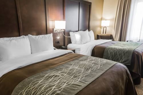 Imagen de la habitación del Hotel Comfort Inn and Suites, Pharr . Foto 3
