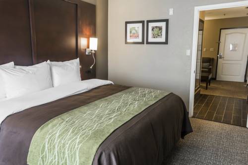 Imagen de la habitación del Hotel Comfort Inn and Suites, Pharr . Foto 5