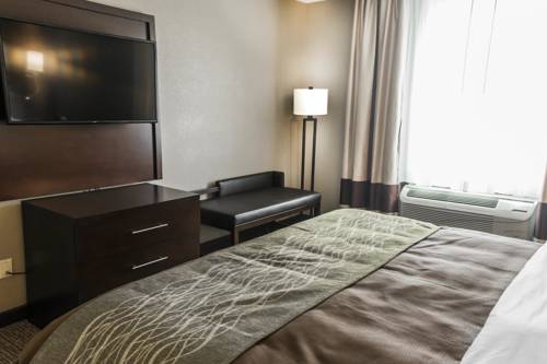 Imagen de la habitación del Hotel Comfort Inn and Suites, Pharr . Foto 6