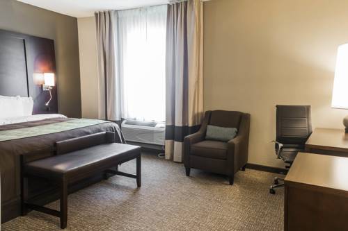 Imagen de la habitación del Hotel Comfort Inn and Suites, Pharr . Foto 8