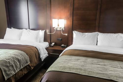 Imagen de la habitación del Hotel Comfort Inn and Suites, Pharr . Foto 9