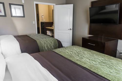 Imagen de la habitación del Hotel Comfort Inn and Suites, Pharr . Foto 10