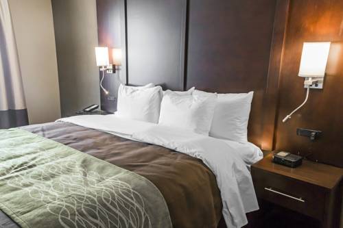Imagen de la habitación del Hotel Comfort Inn and Suites, Pharr . Foto 11