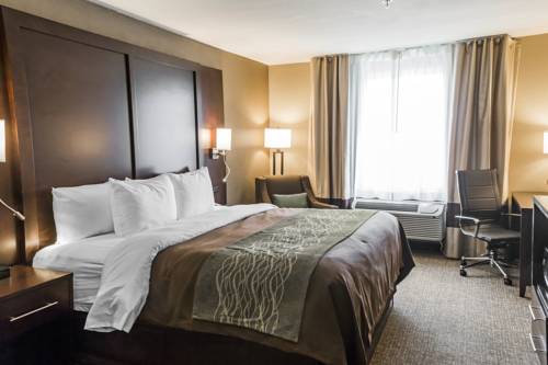 Imagen de la habitación del Hotel Comfort Inn and Suites, Pharr . Foto 12
