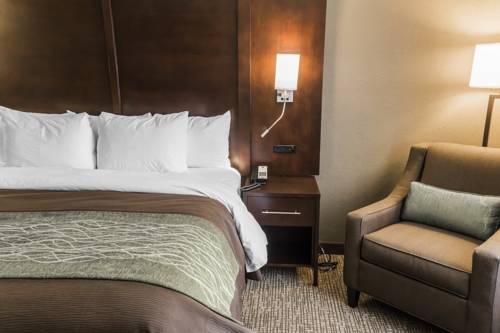 Imagen de la habitación del Hotel Comfort Inn and Suites, Pharr . Foto 13