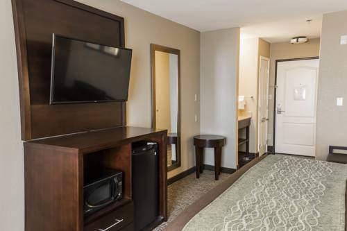 Imagen de la habitación del Hotel Comfort Inn and Suites, Pharr . Foto 14