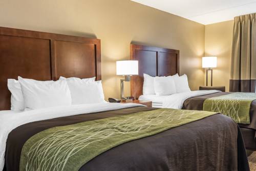 Imagen de la habitación del Hotel Comfort Inn and Suites Piqua-near Troy-i75. Foto 11