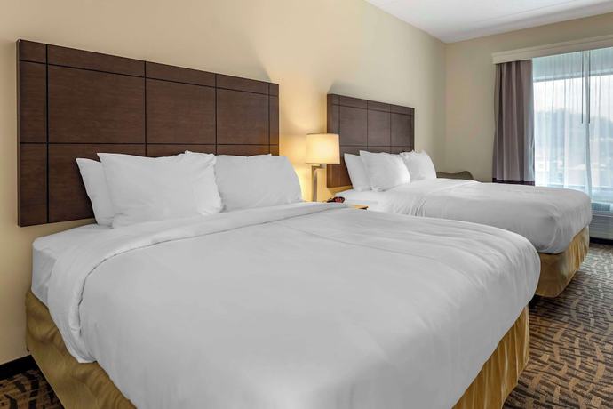 Imagen de la habitación del Hotel Comfort Inn and Suites Pittsburgh-Northshore. Foto 5