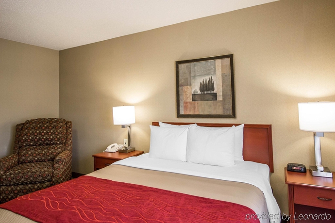Imagen general del Hotel Comfort Inn and Suites, Rapid City. Foto 4