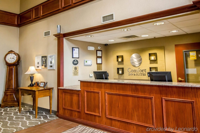 Imagen general del Hotel Comfort Inn and Suites, Rapid City. Foto 6
