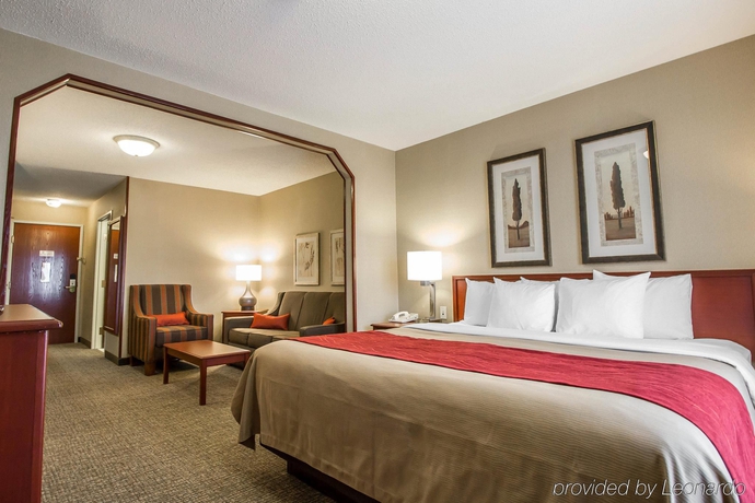 Imagen general del Hotel Comfort Inn and Suites, Rapid City. Foto 11