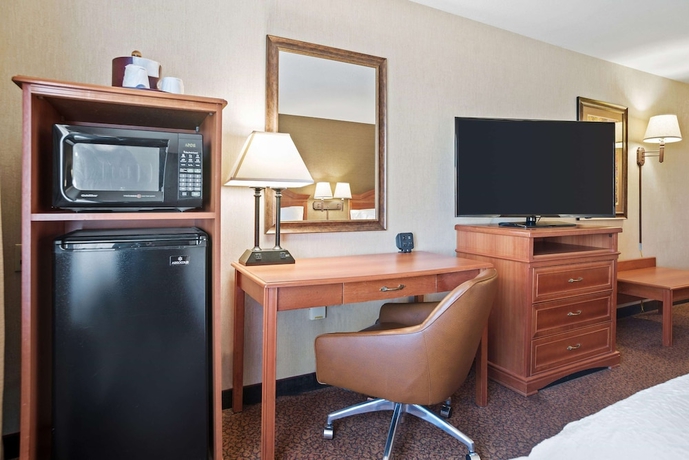 Imagen de la habitación del Hotel Comfort Inn and Suites Rapid City Near Mt. Rushmore. Foto 15