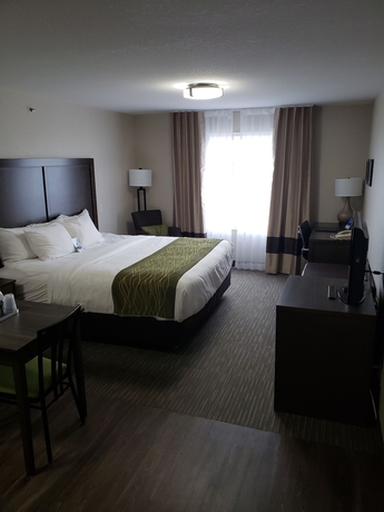 Imagen de la habitación del Hotel Comfort Inn and Suites Red Deer. Foto 6