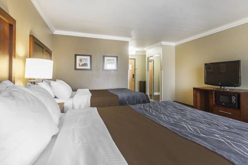 Imagen de la habitación del Hotel Comfort Inn and Suites Redwood Country. Foto 2