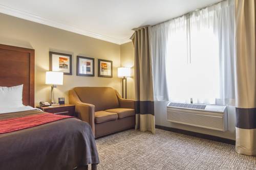 Imagen de la habitación del Hotel Comfort Inn and Suites Redwood Country. Foto 4