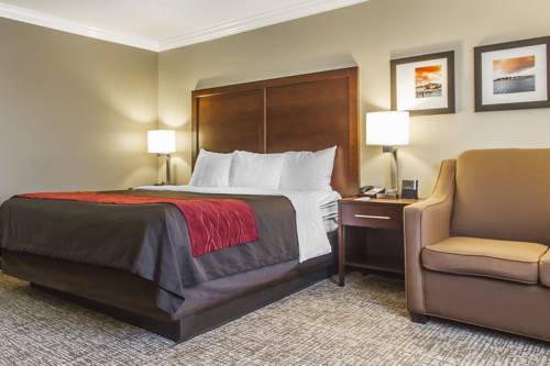 Imagen de la habitación del Hotel Comfort Inn and Suites Redwood Country. Foto 5