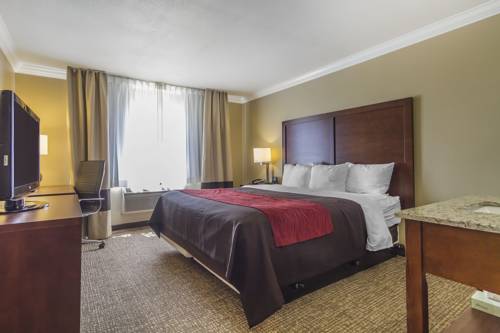 Imagen de la habitación del Hotel Comfort Inn and Suites Redwood Country. Foto 9