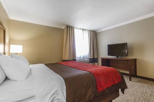 Imagen de la habitación del Hotel Comfort Inn and Suites Redwood Country. Foto 11