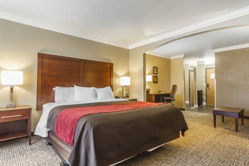 Imagen de la habitación del Hotel Comfort Inn and Suites Redwood Country. Foto 13