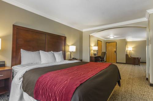Imagen de la habitación del Hotel Comfort Inn and Suites Redwood Country. Foto 14