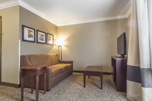 Imagen de la habitación del Hotel Comfort Inn and Suites Redwood Country. Foto 15
