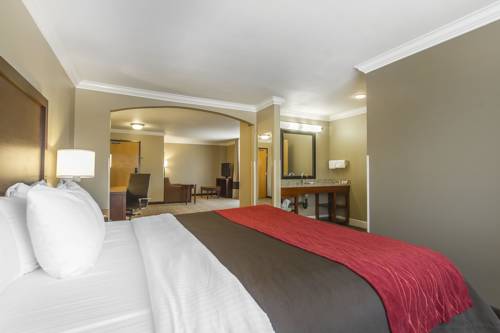 Imagen de la habitación del Hotel Comfort Inn and Suites Redwood Country. Foto 16