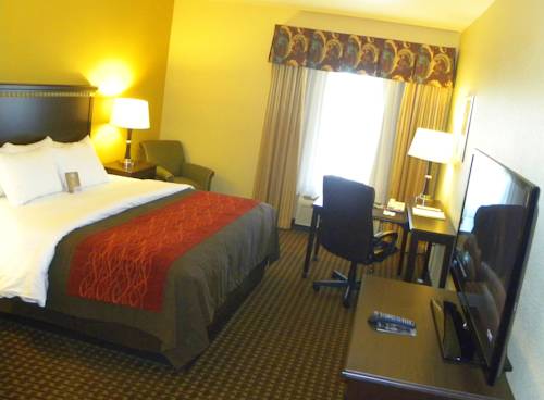 Imagen de la habitación del Hotel Comfort Inn and Suites Regional Medical Center. Foto 6