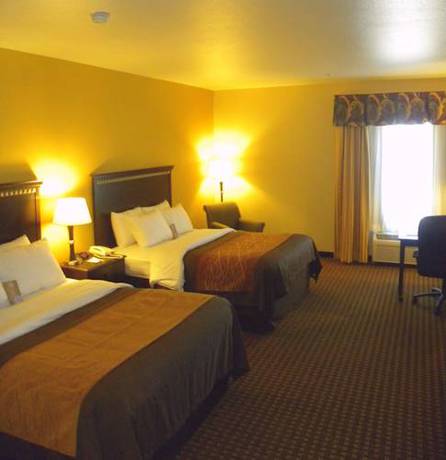 Imagen de la habitación del Hotel Comfort Inn and Suites Regional Medical Center. Foto 7