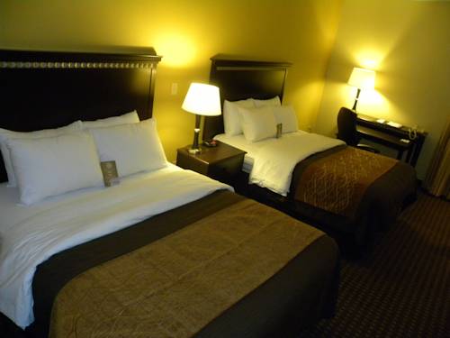 Imagen de la habitación del Hotel Comfort Inn and Suites Regional Medical Center. Foto 9