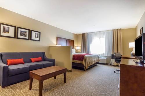 Imagen de la habitación del Hotel Comfort Inn and Suites Rocklin - Roseville. Foto 9