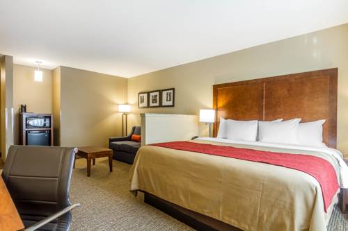 Imagen de la habitación del Hotel Comfort Inn and Suites Rocklin - Roseville. Foto 11