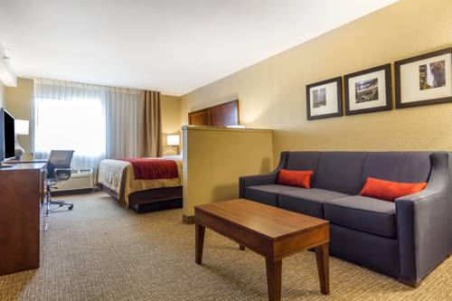 Imagen de la habitación del Hotel Comfort Inn and Suites Rocklin - Roseville. Foto 12