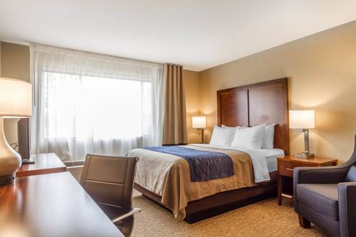 Imagen de la habitación del Hotel Comfort Inn and Suites Rocklin - Roseville. Foto 16