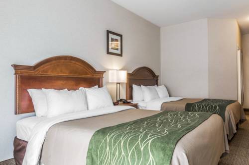 Imagen de la habitación del Hotel Comfort Inn and Suites, SOUTH BURLINGTON. Foto 5