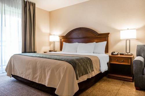 Imagen de la habitación del Hotel Comfort Inn and Suites, SOUTH BURLINGTON. Foto 10