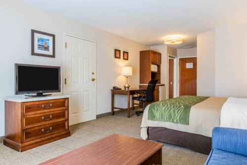 Imagen de la habitación del Hotel Comfort Inn and Suites, SOUTH BURLINGTON. Foto 16