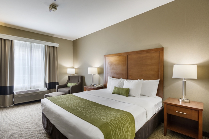 Imagen de la habitación del Hotel Comfort Inn and Suites Sacramento - University Area. Foto 12